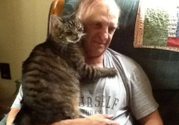 超爱把拔抱抱的猫咪 没有抱到会臭脸一整天