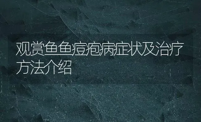 观赏鱼鱼痘疱病症状及治疗方法介绍 | 宠物病虫害防治