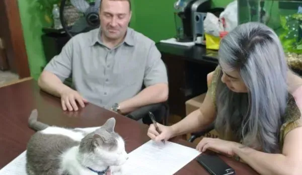 超专业的房仲猫咪 不仅接待客人还会陪签约 | 猫