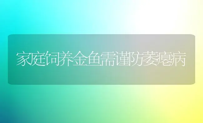 家庭饲养金鱼需谨防萎瘪病 | 宠物病虫害防治