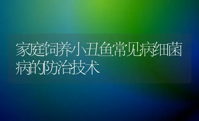 家庭饲养小丑鱼常见病细菌病的防治技术 | 宠物病虫害防治