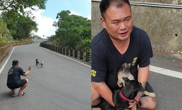 弃养汪路边拦车半路认老爸 男子霸气抱回两汪 | 狗