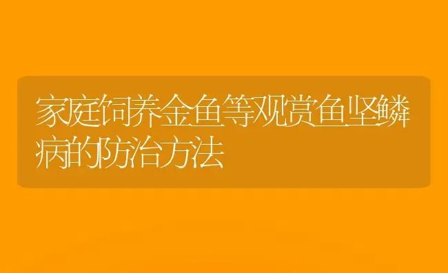 家庭饲养金鱼等观赏鱼坚鳞病的防治方法 | 宠物病虫害防治