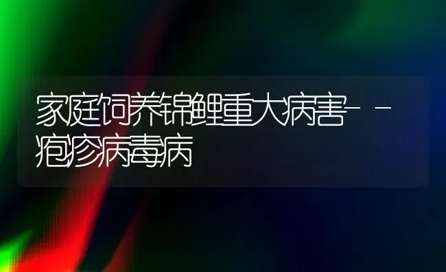 家庭饲养锦鲤重大病害--疱疹病毒病 | 宠物病虫害防治