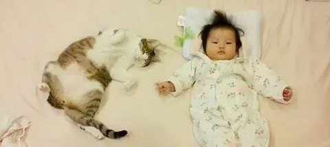 喵星人当哥哥陪伴妹妹睡觉 超温暖的画面 | 