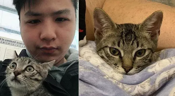 喵被包成生乳捲造型 露出怀疑猫生表情笑翻网友