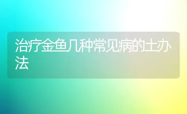 治疗金鱼几种常见病的土办法 | 宠物病虫害防治