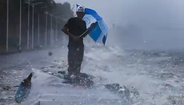 母猫台风中生产 父子拿塑胶布帮母子遮风避雨 | 猫