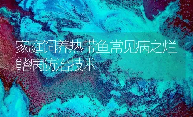 家庭饲养热带鱼常见病之烂鳍病防治技术 | 宠物病虫害防治