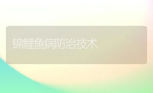 锦鲤鱼病防治技术 | 宠物病虫害防治