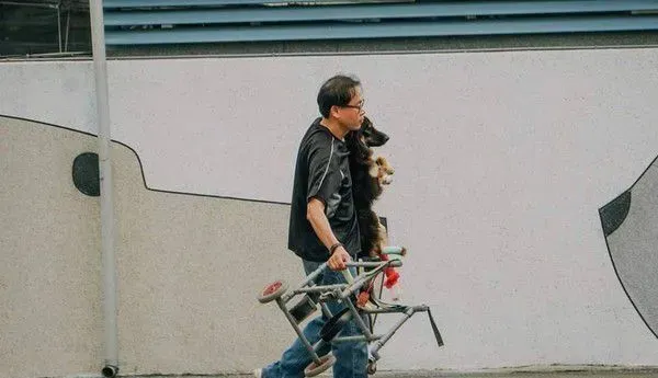 板桥第一暖男 帮助瘫痪的小狗重拾笑容与活泼