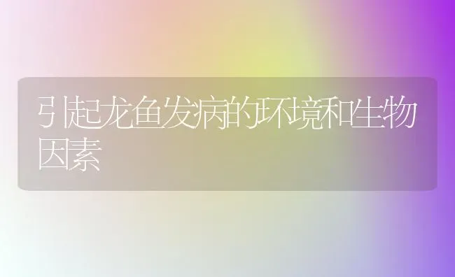 引起龙鱼发病的环境和生物因素 | 宠物病虫害防治