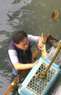 板桥第一暖男 帮助瘫痪的小狗重拾笑容与活泼 | 狗