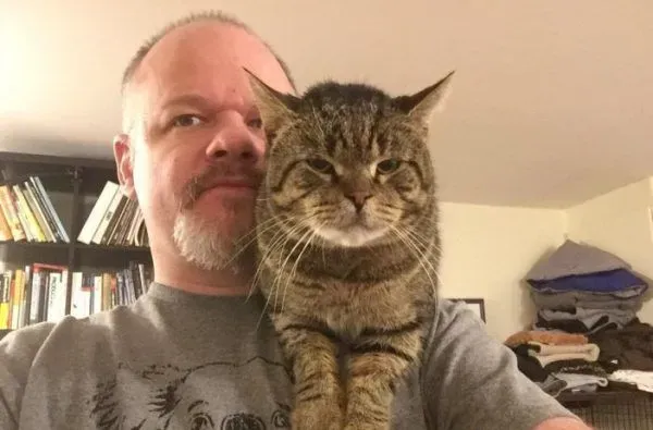 超不好惹的街猫老大 养病时竟变成爱撒娇的搭肩猫 | 猫
