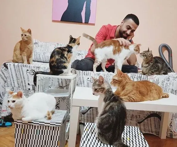 全盲猫咪听见琴音超喜欢 爱猫钢琴家又多位忠实听众 | 猫
