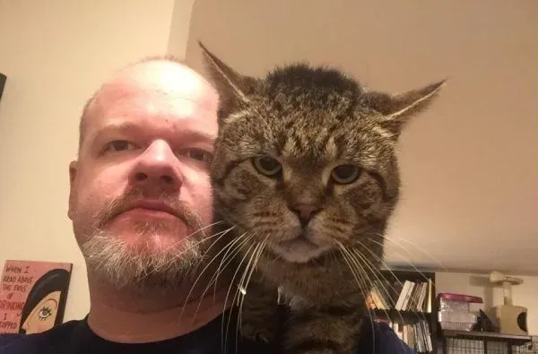 超不好惹的街猫老大 养病时竟变成爱撒娇的搭肩猫 | 猫