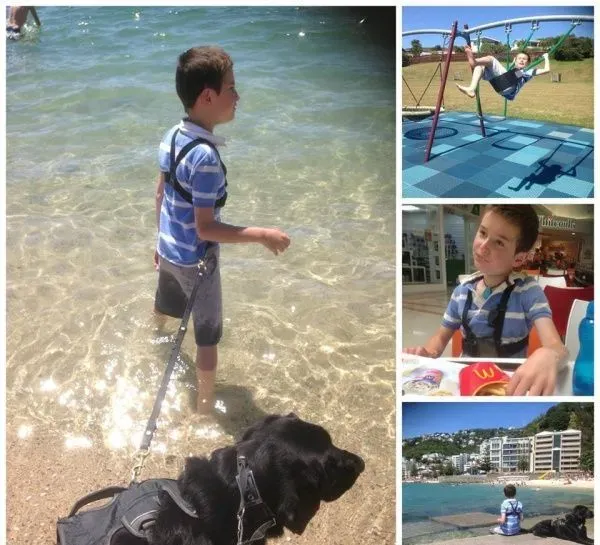 自闭症男孩的忠心服务犬 住院检查也要紧紧守候 | 狗