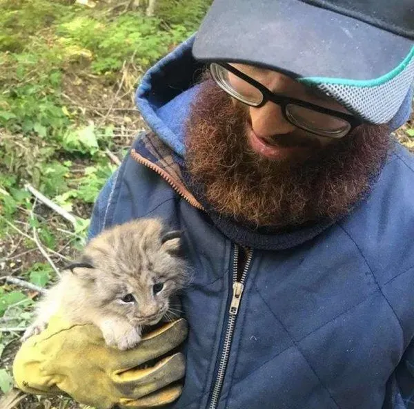 马修偶遇小猫竟是被丢弃的猞猁  举手之劳救猞猁命 | 猞猁