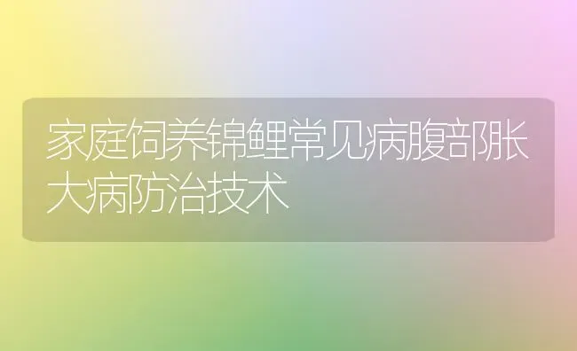 家庭饲养锦鲤常见病腹部胀大病防治技术 | 宠物病虫害防治