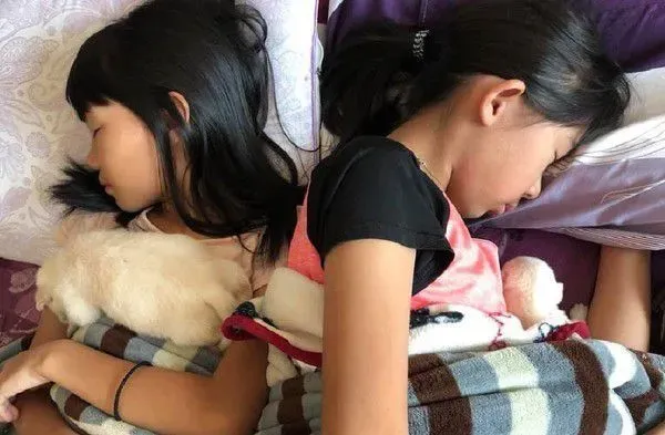 看到这刻妈退出这温馨世界 自己完全成了局外人 | 狗