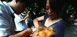 狗需要打什么疫苗 保护狗狗成长健康疫苗很重要 | 疫苗