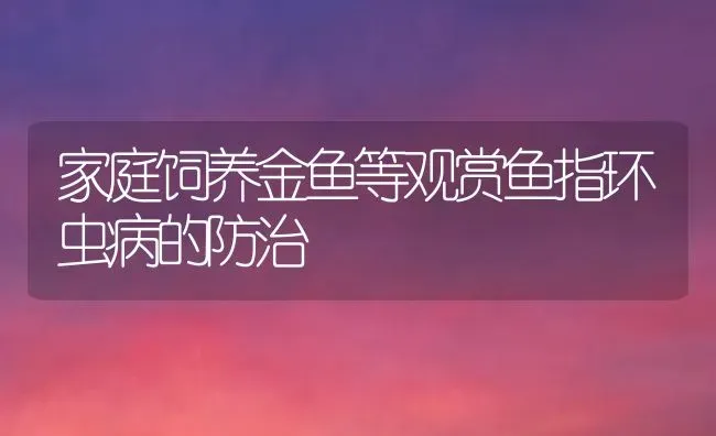 家庭饲养金鱼等观赏鱼指环虫病的防治 | 宠物病虫害防治