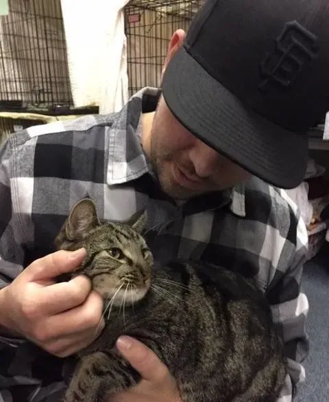 男孩大火中和爱猫失散 向圣诞爷爷许愿要牵引绳 | 猫