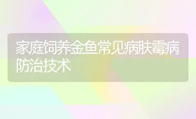 家庭饲养金鱼常见病肤霉病防治技术 | 宠物病虫害防治
