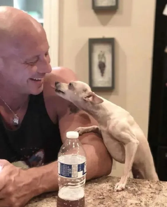 过去对小型犬嗤之以鼻 如今竟成专门救援吉娃娃的暖男! | 狗