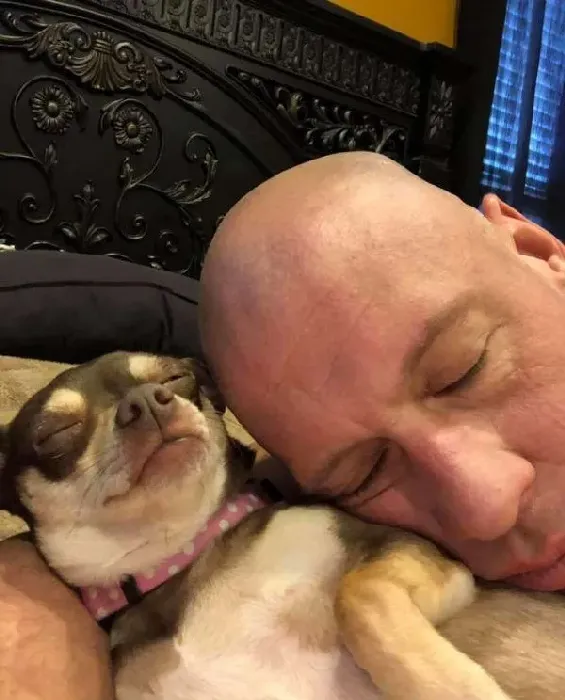 过去对小型犬嗤之以鼻 如今竟成专门救援吉娃娃的暖男!