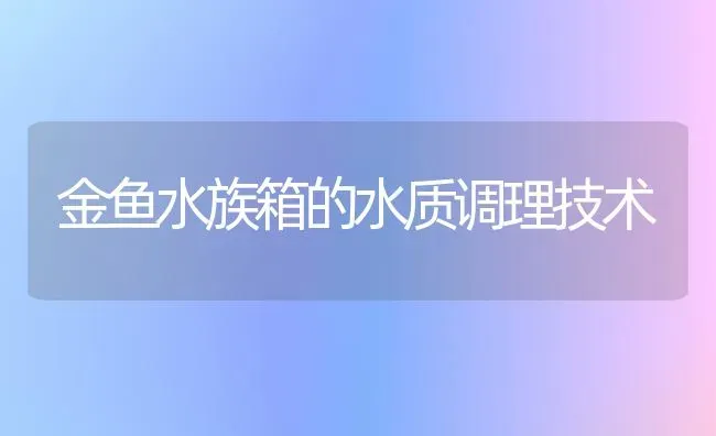 金鱼水族箱的水质调理技术 | 鱼类宠物