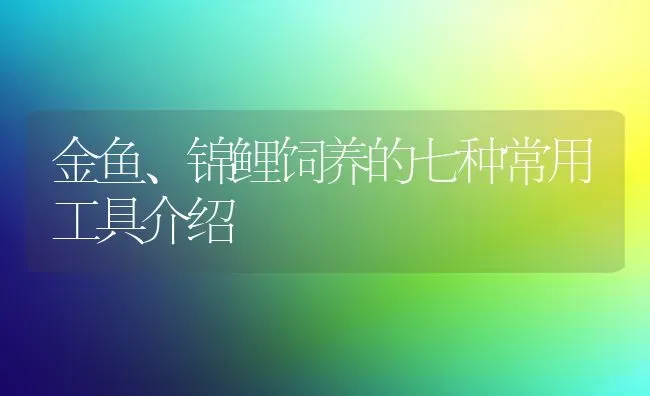 金鱼、锦鲤饲养的七种常用工具介绍 | 鱼类宠物