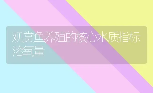 观赏鱼养殖的核心水质指标溶氧量 | 鱼类宠物