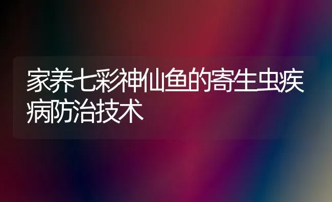 家养七彩神仙鱼的寄生虫疾病防治技术 | 宠物病虫害防治
