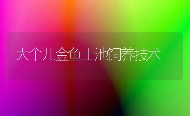大个儿金鱼土池饲养技术 | 鱼类宠物
