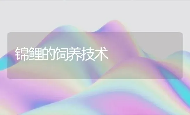 锦鲤的饲养技术 | 鱼类宠物