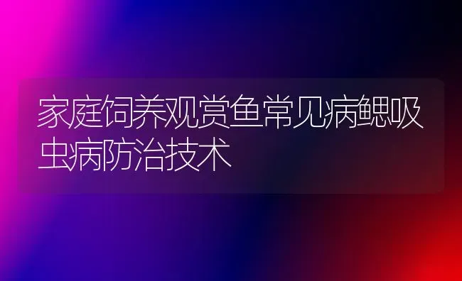 家庭饲养观赏鱼常见病鳃吸虫病防治技术 | 宠物病虫害防治