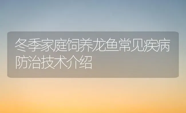 冬季家庭饲养龙鱼常见疾病防治技术介绍 | 宠物病虫害防治