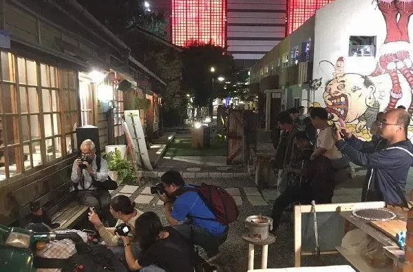 外出寄件有问题问猫 店家外出留猫解决顾客的问题