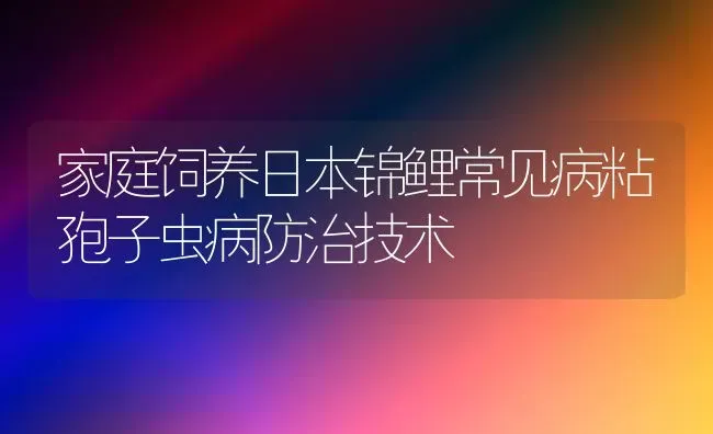 家庭饲养日本锦鲤常见病粘孢子虫病防治技术 | 宠物病虫害防治