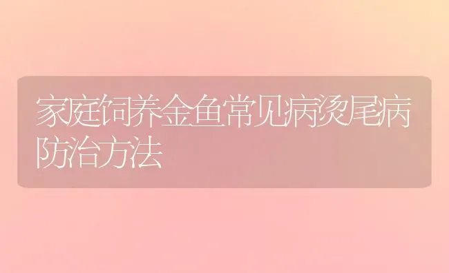 家庭饲养金鱼常见病烫尾病防治方法 | 宠物病虫害防治