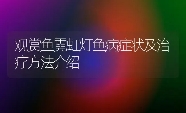 观赏鱼霓虹灯鱼病症状及治疗方法介绍 | 宠物病虫害防治