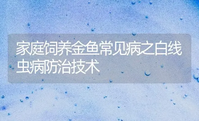 家庭饲养金鱼常见病之白线虫病防治技术 | 宠物病虫害防治