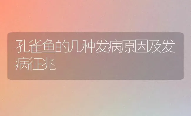 孔雀鱼的几种发病原因及发病征兆 | 宠物病虫害防治