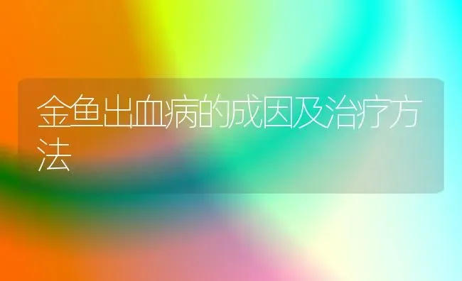 金鱼出血病的成因及治疗方法 | 宠物病虫害防治