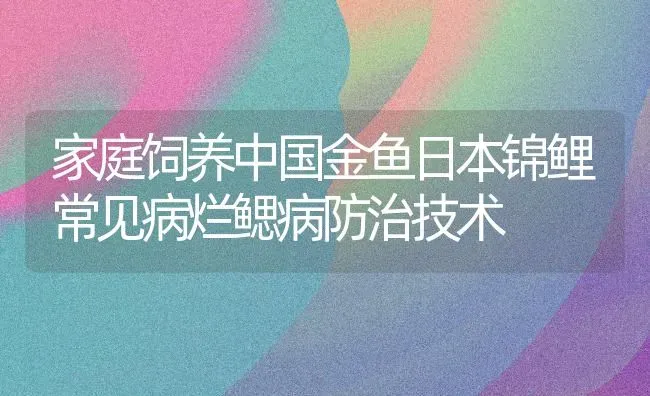 家庭饲养中国金鱼日本锦鲤常见病烂鳃病防治技术 | 宠物病虫害防治