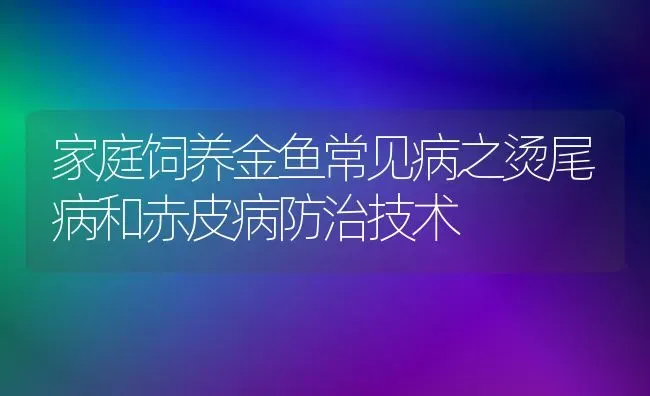 家庭饲养金鱼常见病之烫尾病和赤皮病防治技术 | 宠物病虫害防治