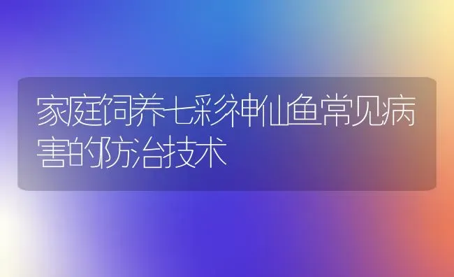 家庭饲养七彩神仙鱼常见病害的防治技术 | 宠物病虫害防治