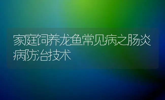 家庭饲养龙鱼常见病之肠炎病防治技术 | 宠物病虫害防治