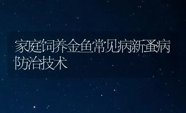 家庭饲养金鱼常见病新蚤病防治技术 | 宠物病虫害防治